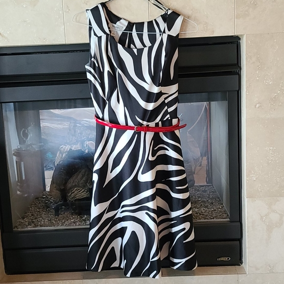 Zebra pattern dress - Picture 1 of 3